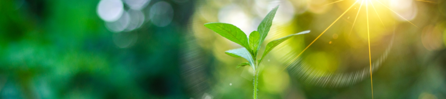 What is sustainable investing and what are the ESG criteria that drive it?