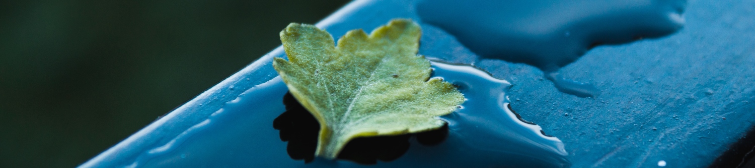 What is the right sustainable investment approach for me?