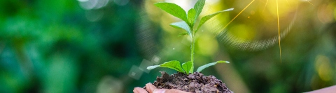 What is sustainable investing and what are the ESG criteria that drive it