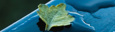 What is the right sustainable investment approach for me?